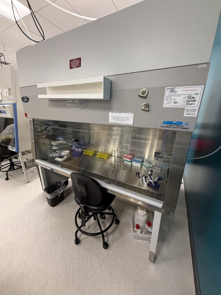 Image of Nuaire LabGard ES 6' Biosafety Cabinet
